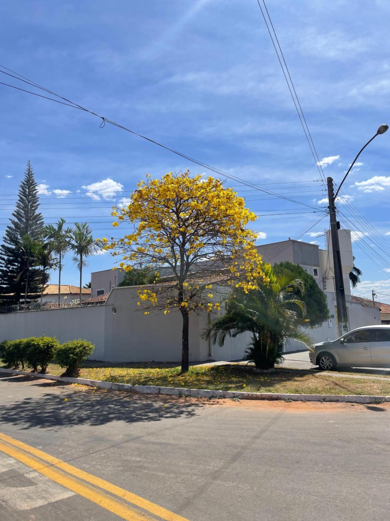 Pousada Flor Dos Ipes Trindade  Exterior foto